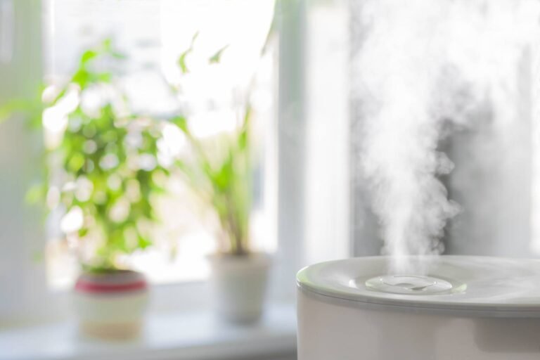 The Creepy truth about Humidifiers